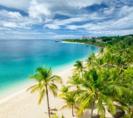 Aerial view of green palm trees, on the empty sandy beach of Indian Ocean at sunset. Summer in Kendwa, Zanzibar island. Tropical landscape with palms, white sand, blue sea, sky with clouds. Top view