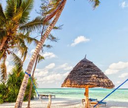 Hammock on the beach set between two trees with shadow on white sand at the evening, Zanzibar, Tanzania